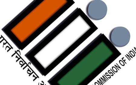 चिंचवड विधानसभा मतदारसंघात हक्क बजावत लोकशाहीच्या महाउत्सवात उस्फुर्तपणे सहभाग नोंदविला