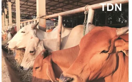 21वी पशुगणना: पशुपालकांना सक्रिय सहभागासाठी आवाहन