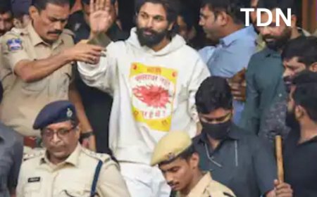 पुष्पा 2 चेंगराचेंगरी: अल्लू अर्जुनच्या अटकेमुळे चित्रपटसृष्टीत खळबळ उडाली