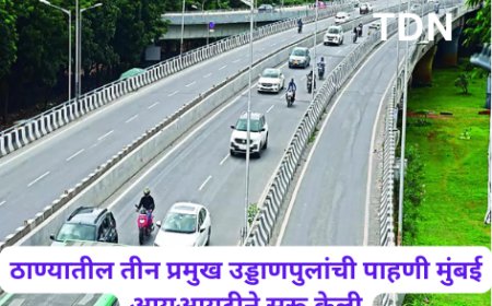 ठाण्यातील तीन प्रमुख उड्डाणपुलांची पाहणी मुंबई आयआयटीने सुरू केली