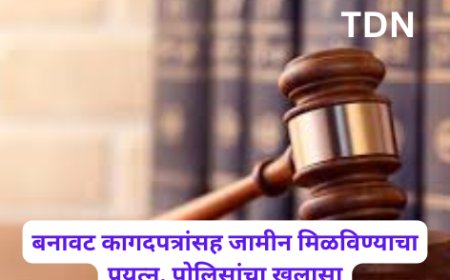 बनावट कागदपत्रांसह जामीन मिळविण्याचा प्रयत्न, पोलिसांचा खुलासा