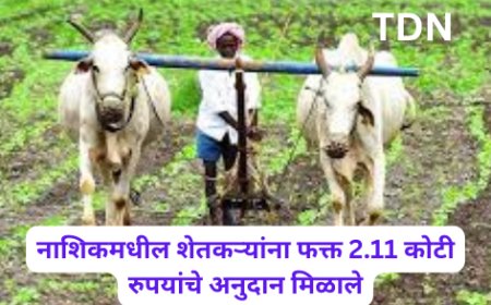 नाशिकमधील शेतकऱ्यांना फक्त 2.11 कोटी रुपयांचे अनुदान मिळाले