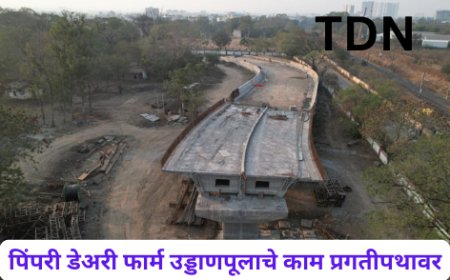 पिंपरी डेअरी फार्म उड्डाणपूलाचे काम प्रगतीपथावर