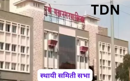 स्थायी समिती सभा