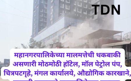 महानगरपालिकेच्या मालमत्तेची थकबाकी असणारी मोठमोठी हॉटेल, मॉल पेट्रोल पंप, चित्रपटगृहे, मंगल कार्यालये, औद्योगिक कारखाने, खासगी रुग्णालये महापालिकेच्या रडारवर.
