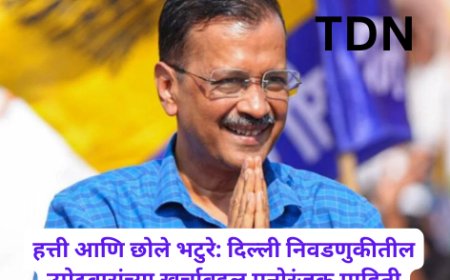 हत्ती आणि छोले भटुरे: दिल्ली निवडणुकीतील उमेदवारांच्या खर्चाबद्दल मनोरंजक माहिती