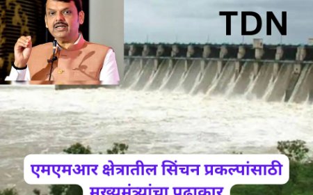एमएमआर क्षेत्रातील सिंचन प्रकल्पांसाठी मुख्यमंत्र्यांचा पुढाकार