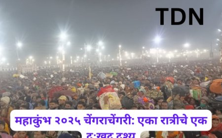 महाकुंभ २०२५ चेंगराचेंगरी: एका रात्रीचे एक दुःखद दृश्य