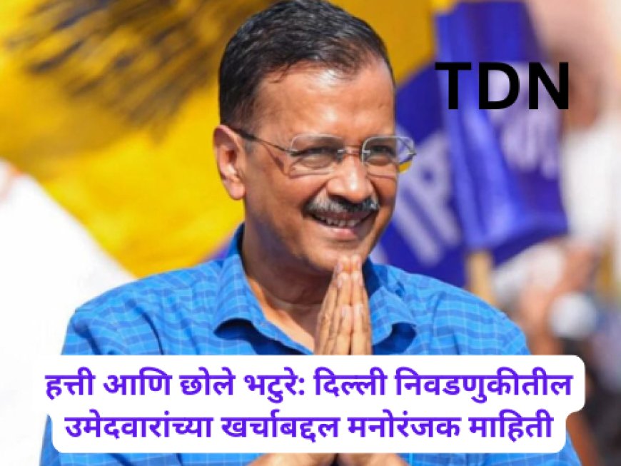 हत्ती आणि छोले भटुरे: दिल्ली निवडणुकीतील उमेदवारांच्या खर्चाबद्दल मनोरंजक माहिती