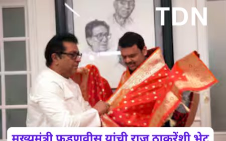मुख्यमंत्री फडणवीस यांची राज ठाकरेंशी भेट
