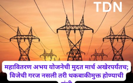 महावितरण अभय योजनेची मुदत मार्च अखेरपर्यंतच;  विजेची गरज नसली तरी थकबाकीमुक्त होण्याची संधी